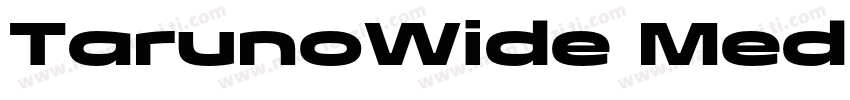 TarunoWide Medium字体转换